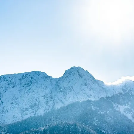 Daire Delta Boutique