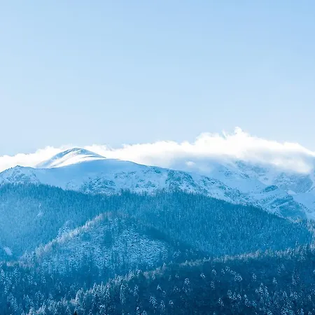 Апартаменты Delta Boutique Косцелиско