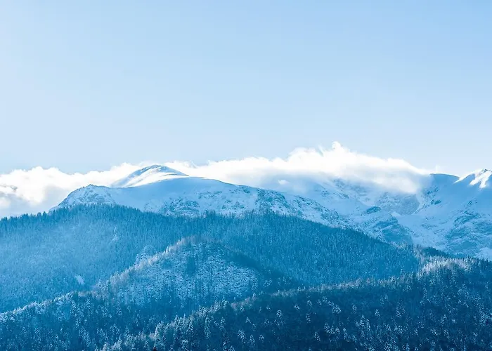 Appartamento Delta Boutique Kościelisko